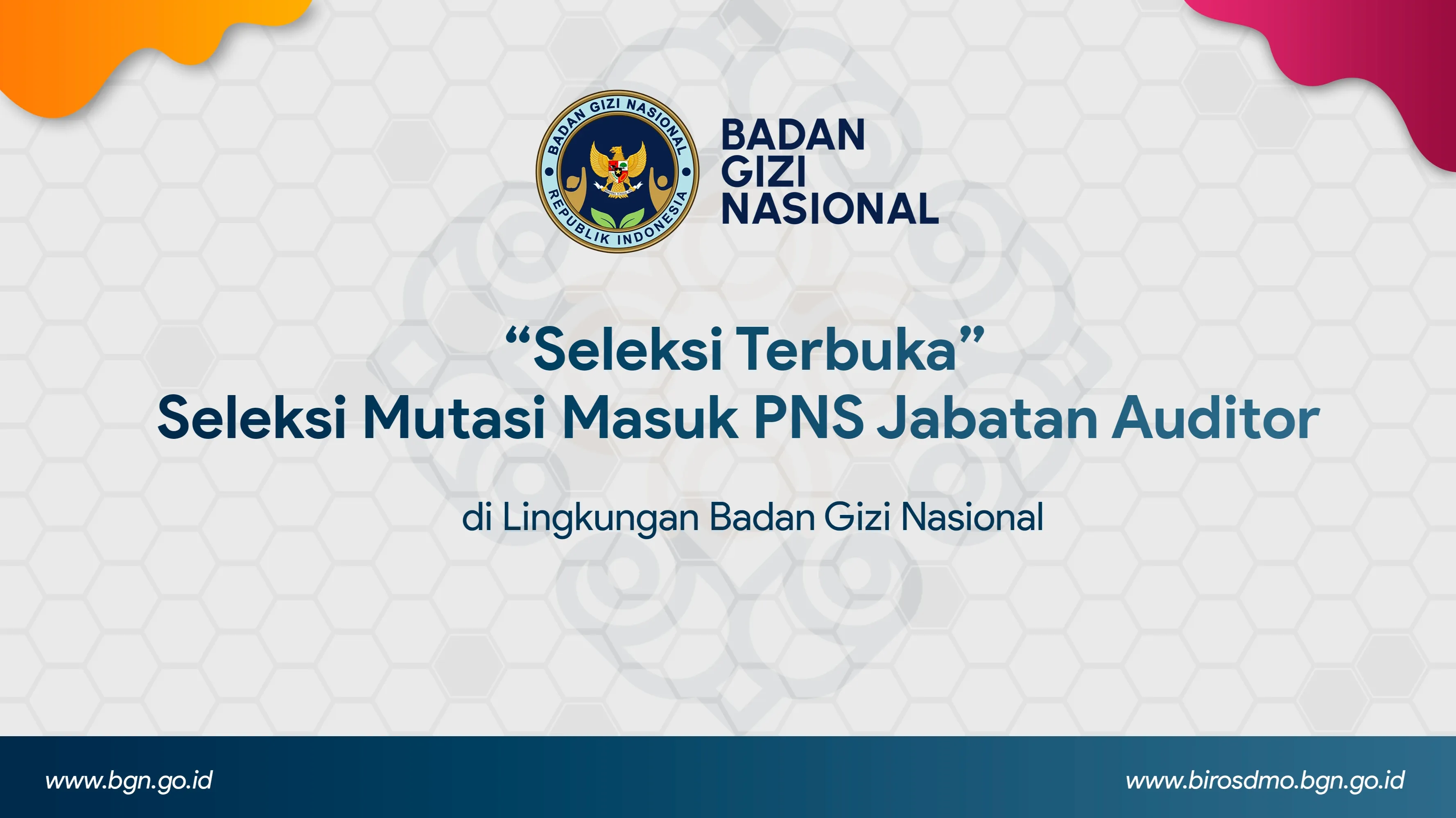Seleksi Terbuka - Seleksi Mutasi Masuk PNS Jabatan Auditor di Lingkungan Badan Gizi Nasional Pidie